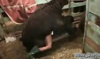 slut, zoophile