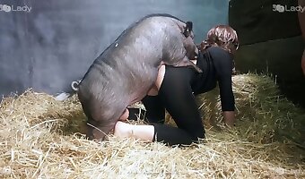 sex with pig, really